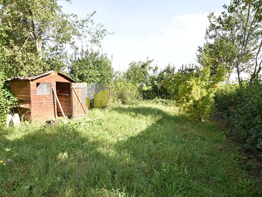 Immagine 20 di Casa indipendente in vendita  a Pisa