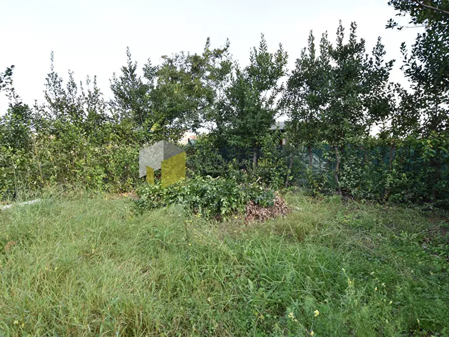 Immagine 21 di Casa indipendente in vendita  a Pisa