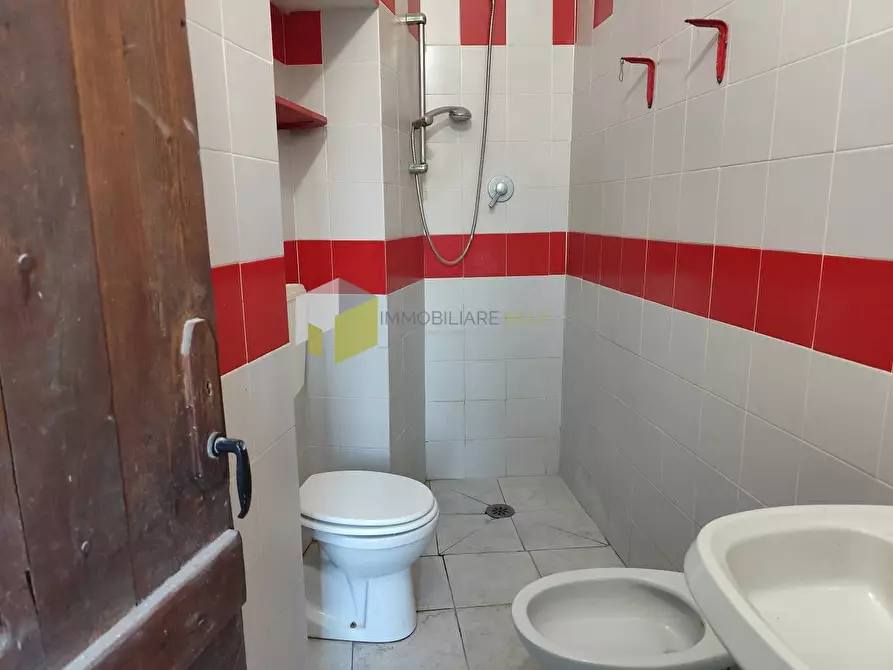 Immagine 28 di Casa indipendente in vendita  a Vecchiano