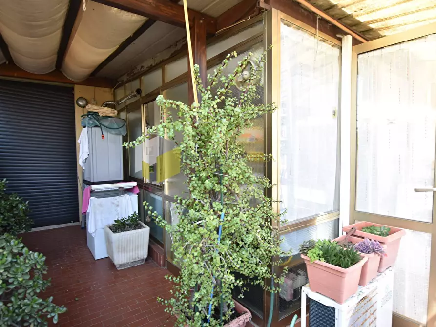 Immagine 9 di Appartamento in vendita  a Pisa