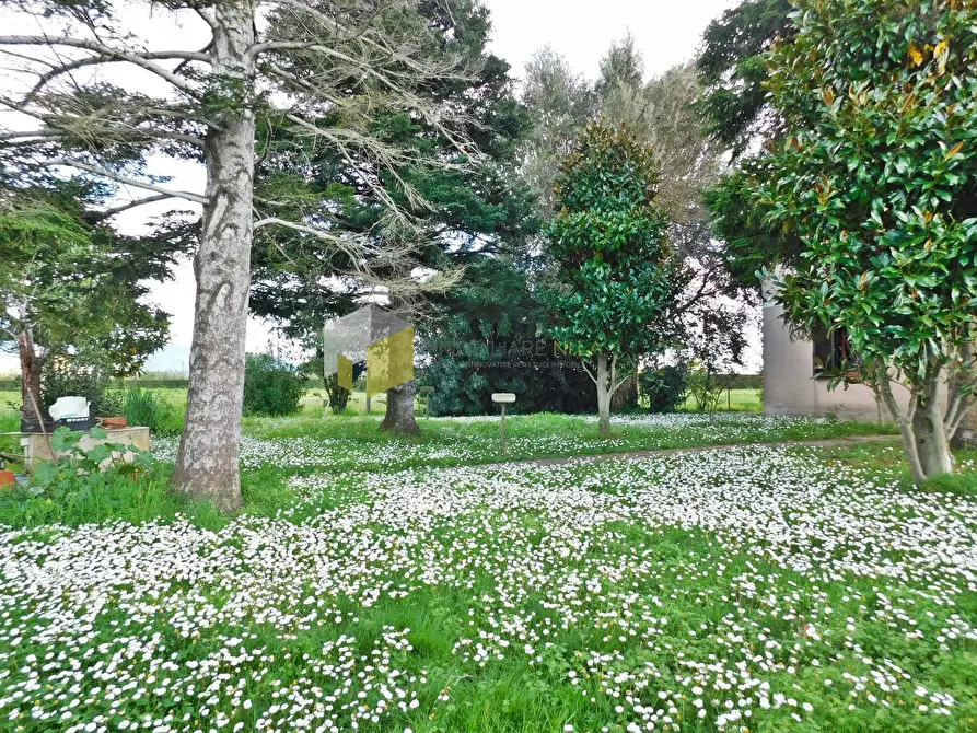 Immagine 2 di Casa semindipendente in vendita  a San Giuliano Terme