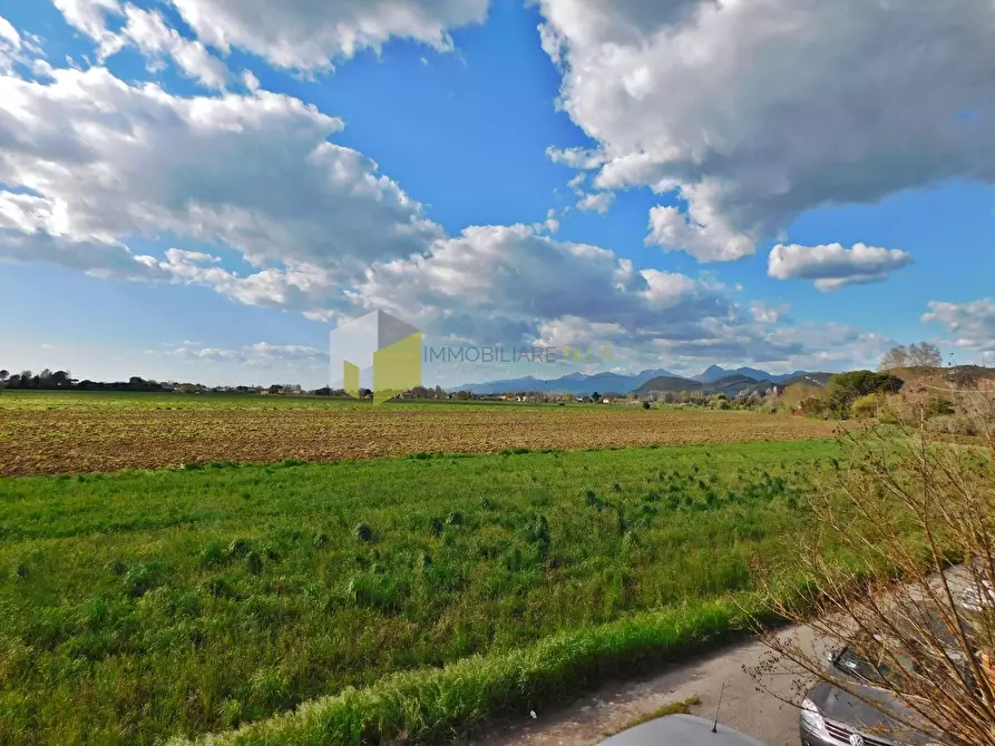 Immagine 3 di Casa semindipendente in vendita  a San Giuliano Terme