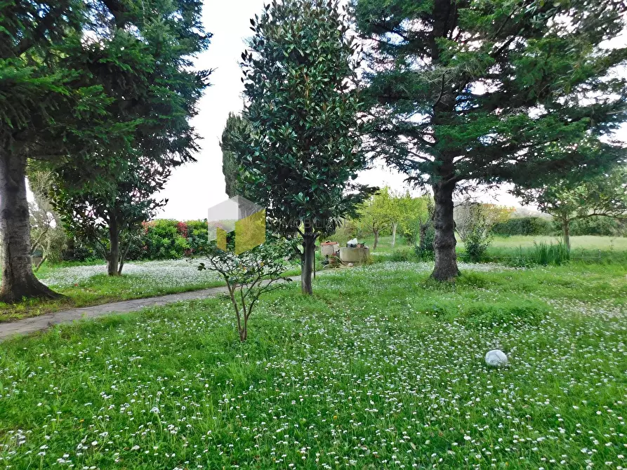 Immagine 4 di Casa semindipendente in vendita  a San Giuliano Terme