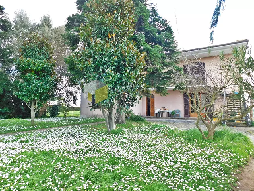 Immagine 13 di Casa semindipendente in vendita  a San Giuliano Terme