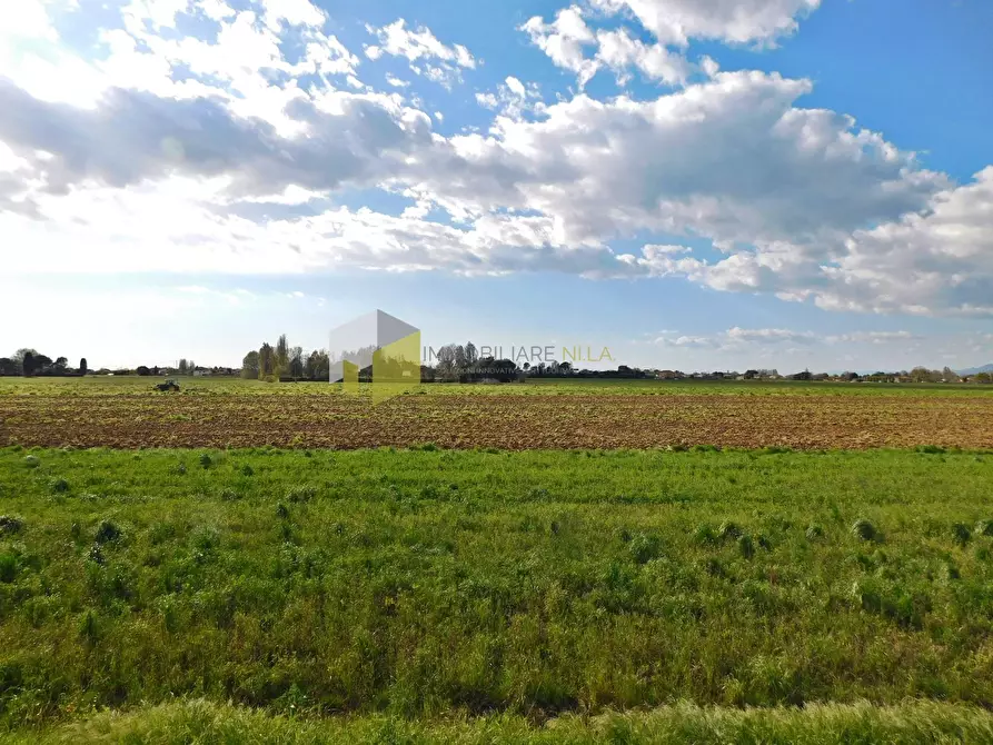 Immagine 21 di Casa semindipendente in vendita  a San Giuliano Terme