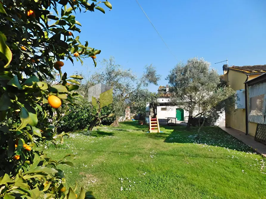 Immagine 3 di Casa indipendente in vendita  a San Giuliano Terme