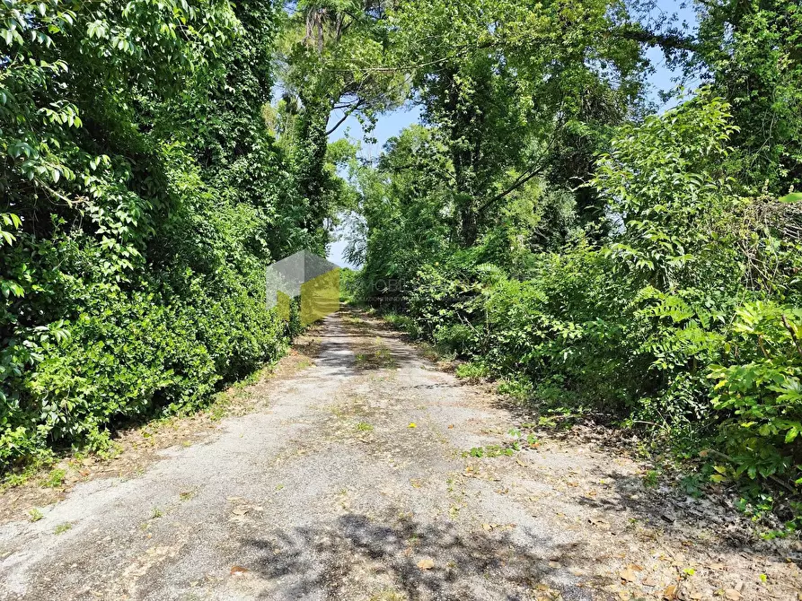 Immagine 25 di Villa in vendita  a Pisa