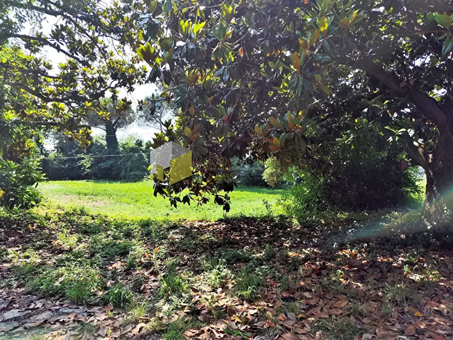 Immagine 26 di Villa in vendita  a Pisa