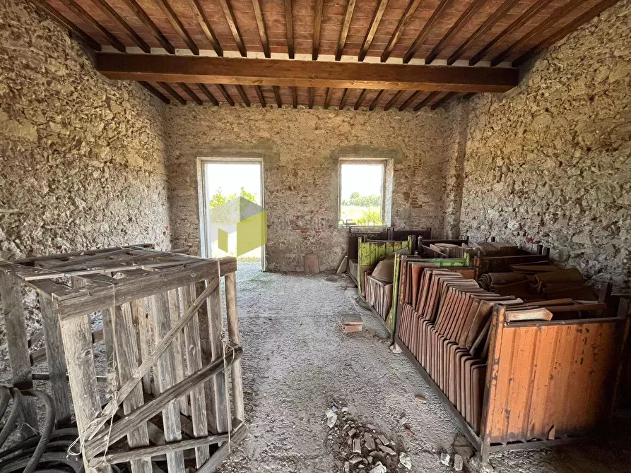 Immagine 5 di Casa indipendente in vendita  a San Giuliano Terme