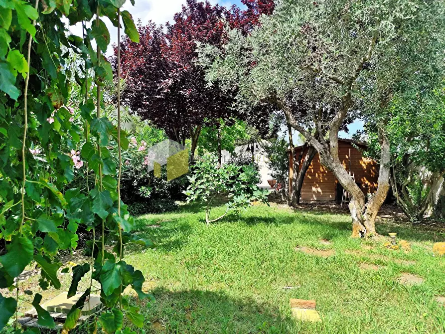 Immagine 2 di Appartamento in vendita  a Pisa