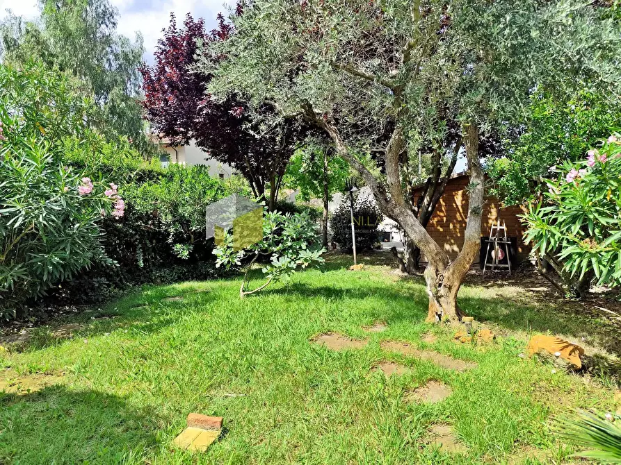 Immagine 25 di Appartamento in vendita  a Pisa