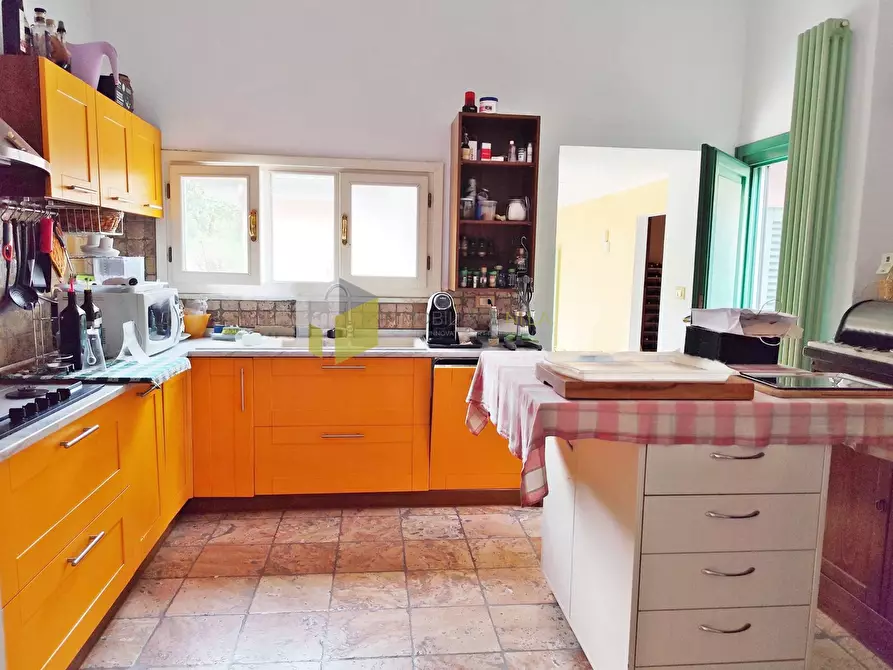 Immagine 7 di Appartamento in vendita  a Pisa