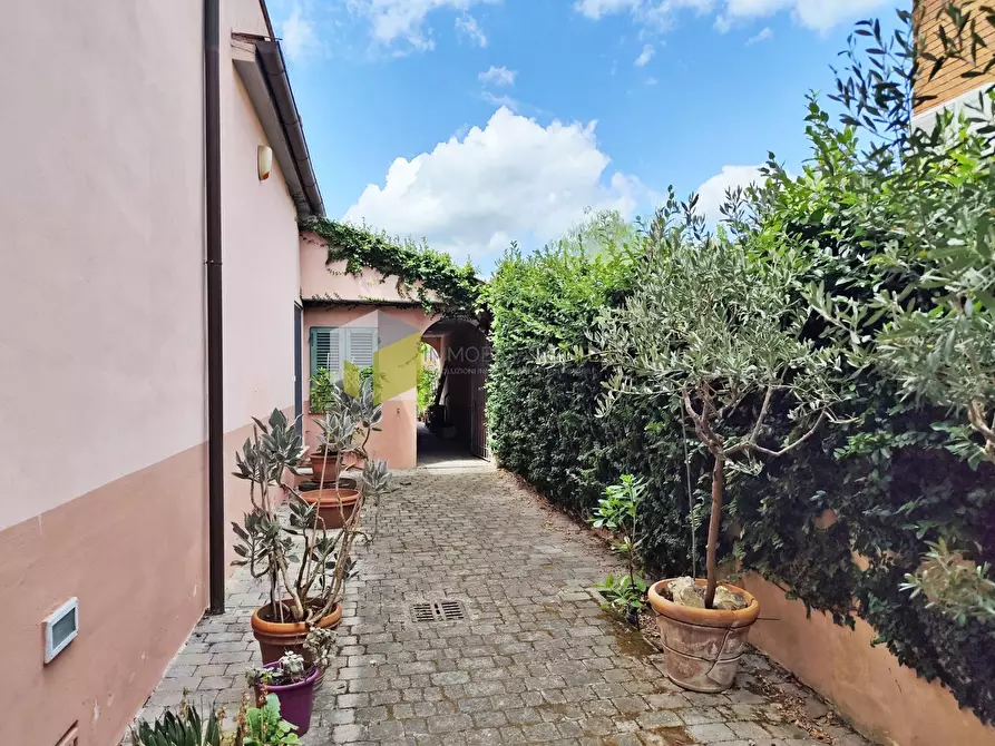 Immagine 24 di Appartamento in vendita  a Pisa