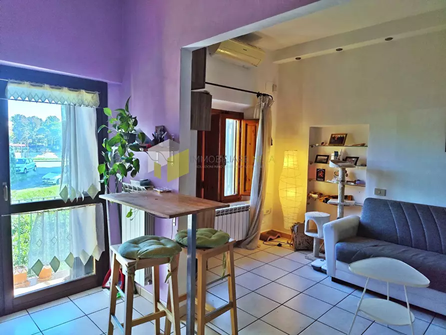 Immagine 5 di Appartamento in vendita  a Pisa