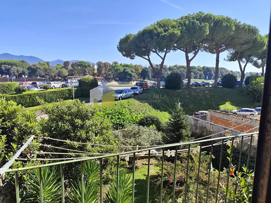Immagine 8 di Appartamento in vendita  a Pisa