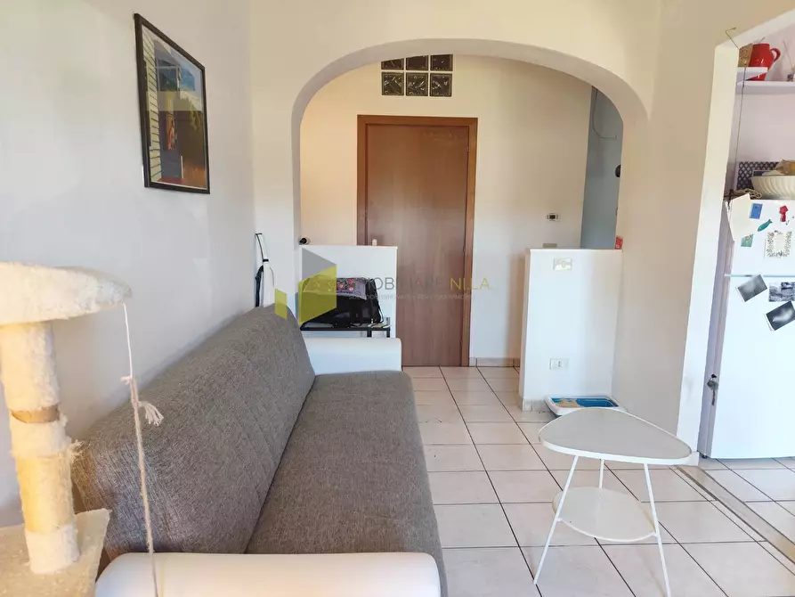 Immagine 24 di Appartamento in vendita  a Pisa