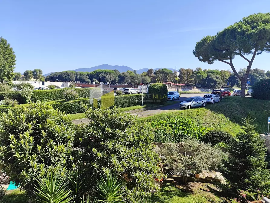 Immagine 29 di Appartamento in vendita  a Pisa