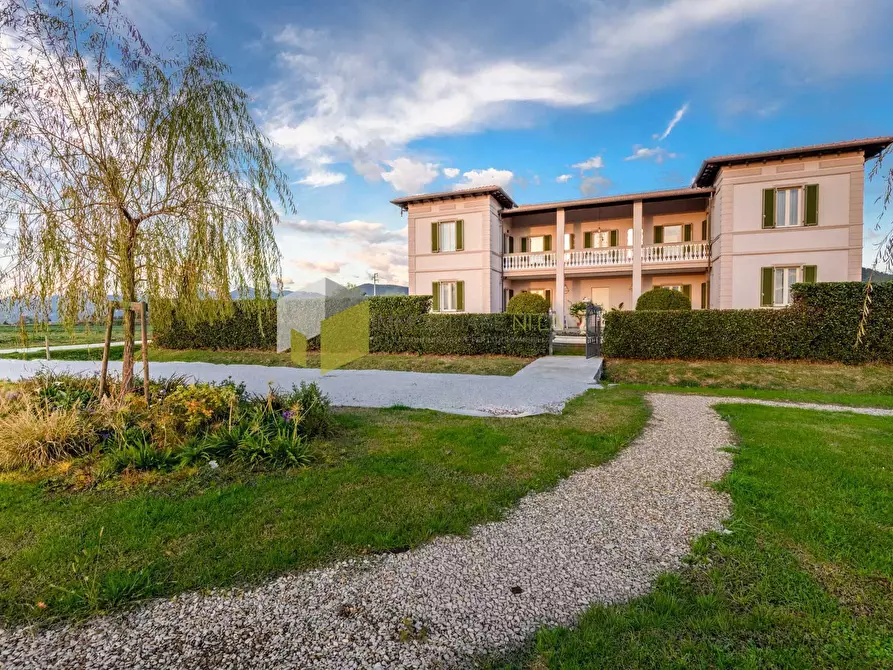 Immagine 2 di Villa in vendita  a Vecchiano