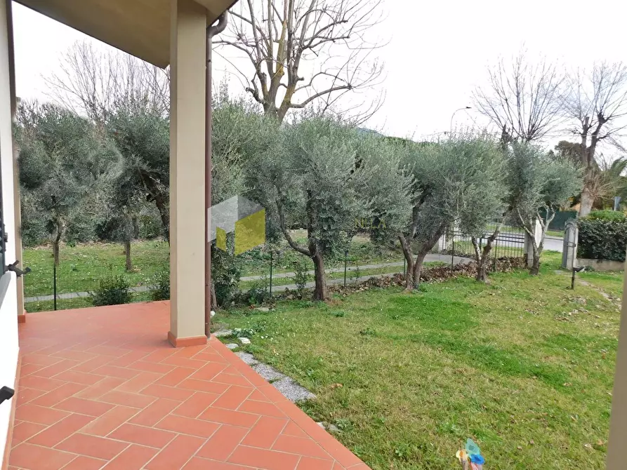 Immagine 15 di Villa in vendita  a Vecchiano