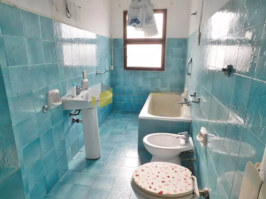 Immagine 17 di Appartamento in vendita  a San Giuliano Terme