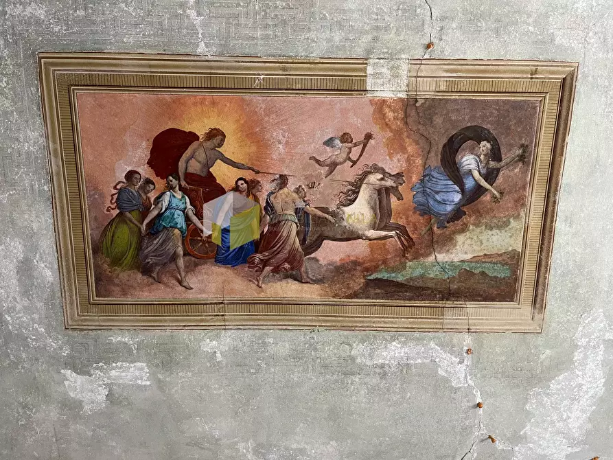 Immagine 7 di Appartamento in vendita  a Pisa