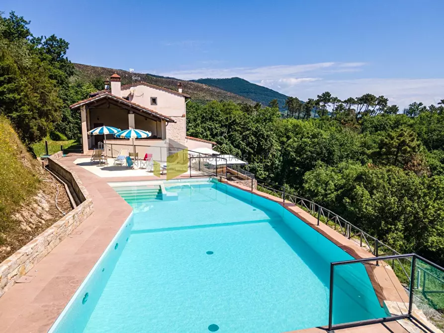 Immagine 39 di Rustico / casale in vendita  a Vicopisano
