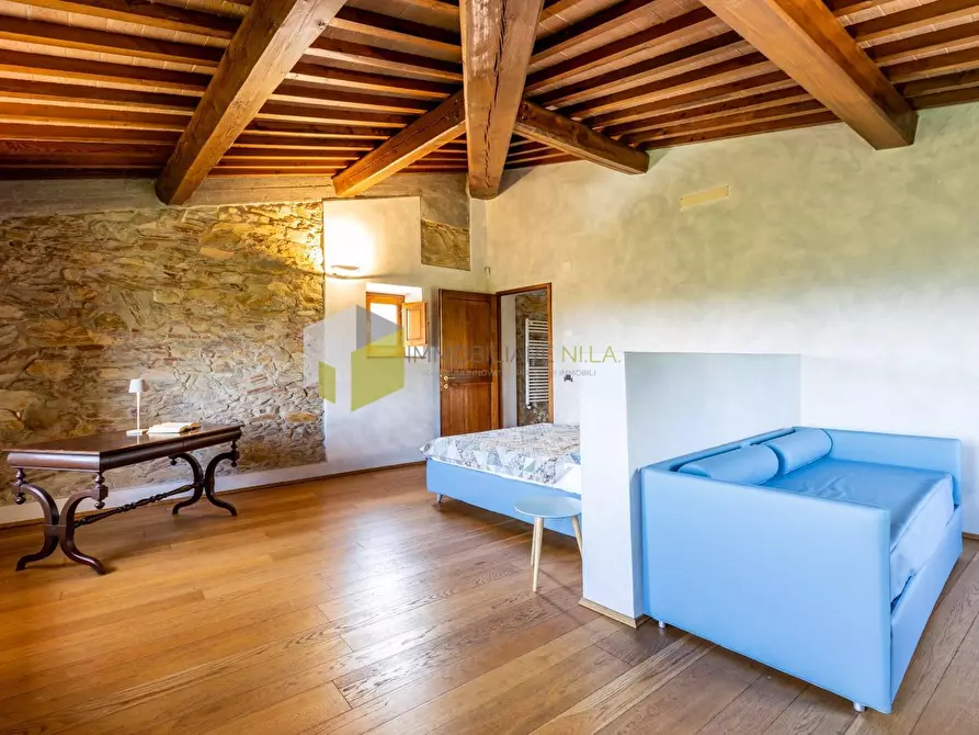 Immagine 31 di Rustico / casale in vendita  a Vicopisano