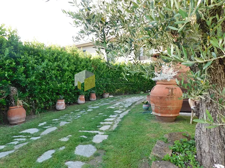Immagine 1 di Casa indipendente in vendita  a Vecchiano