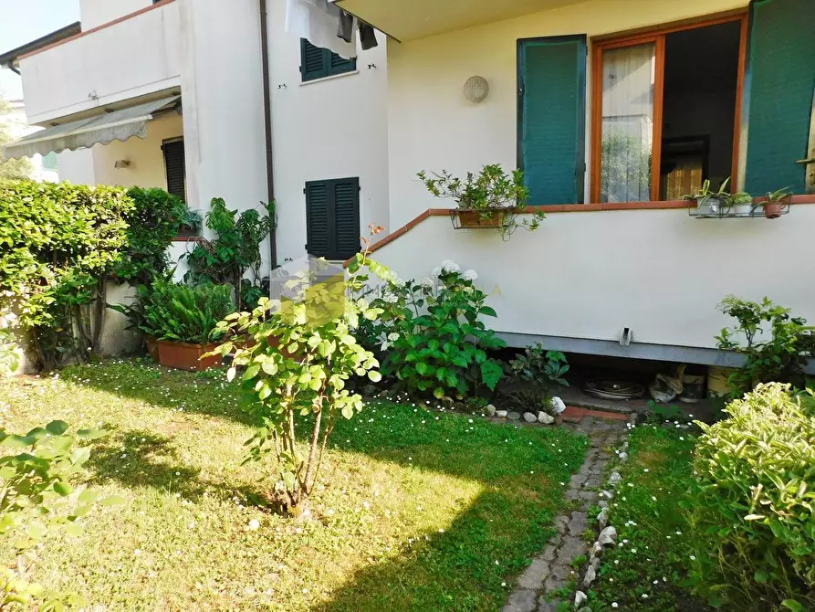 Immagine 11 di Villetta a schiera in vendita  a Vecchiano