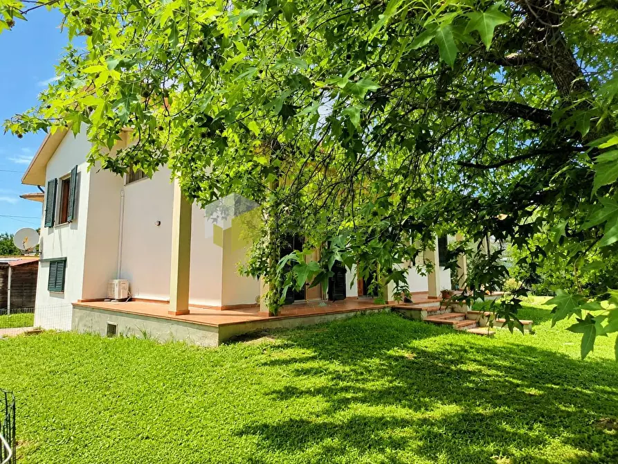 Immagine 9 di Villa in vendita  a Vecchiano