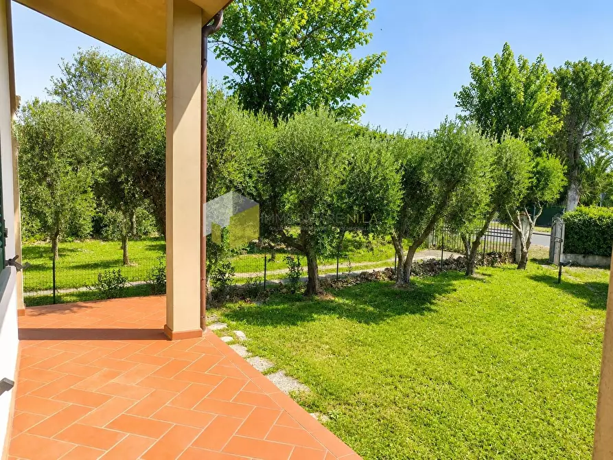 Immagine 15 di Villa in vendita  a Vecchiano