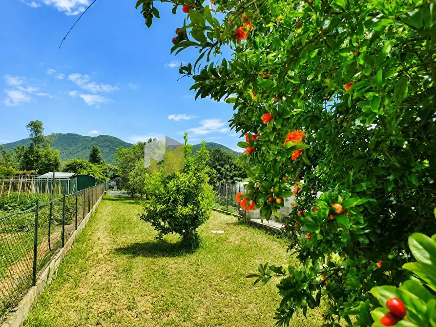 Immagine 1 di Casa indipendente in vendita  a San Giuliano Terme