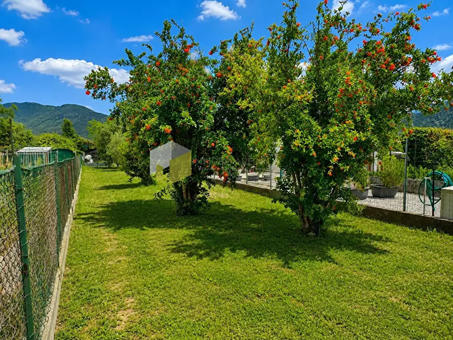 Immagine 23 di Casa indipendente in vendita  a San Giuliano Terme