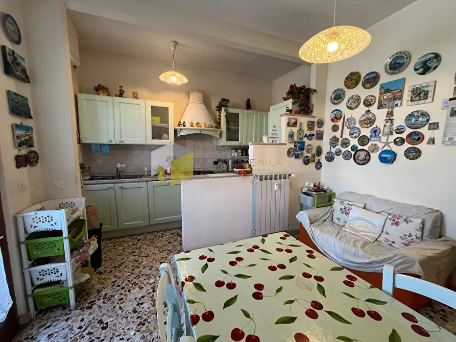 Immagine 13 di Appartamento in vendita  a San Giuliano Terme