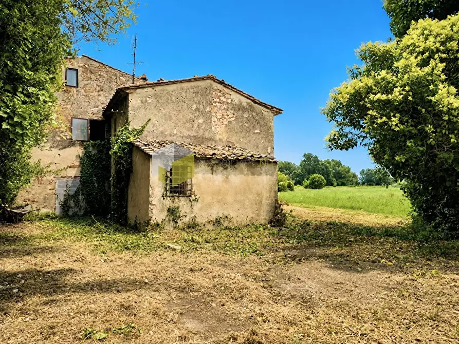 Immagine 3 di Rustico / casale in vendita  a Cascina