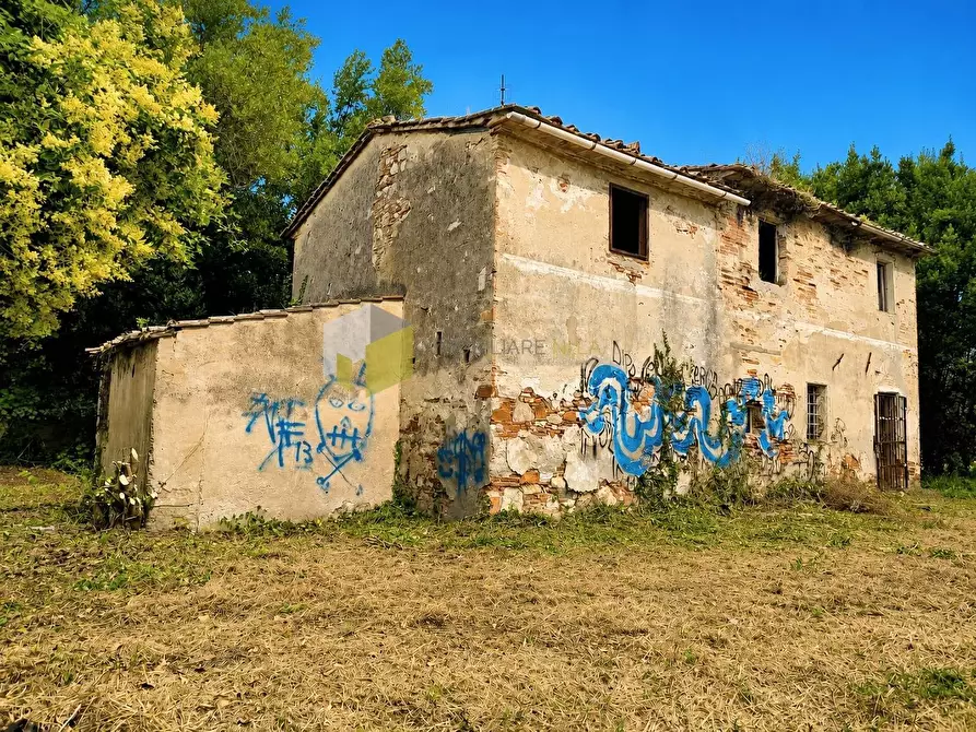 Immagine 4 di Rustico / casale in vendita  a Cascina