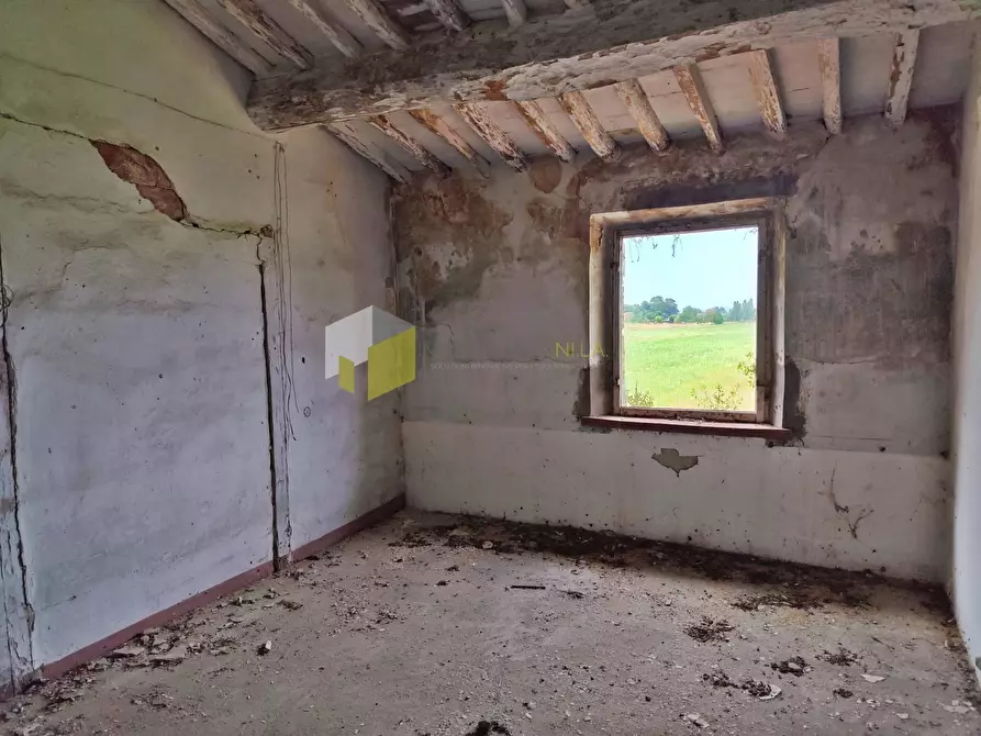 Immagine 22 di Rustico / casale in vendita  a Cascina