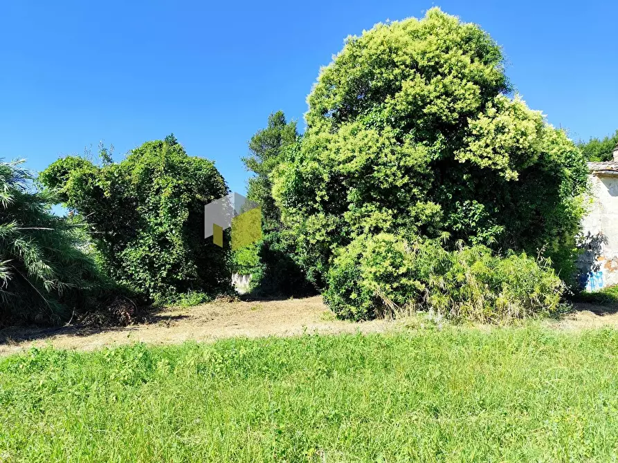 Immagine 30 di Rustico / casale in vendita  a Cascina