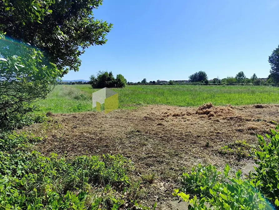 Immagine 31 di Rustico / casale in vendita  a Cascina