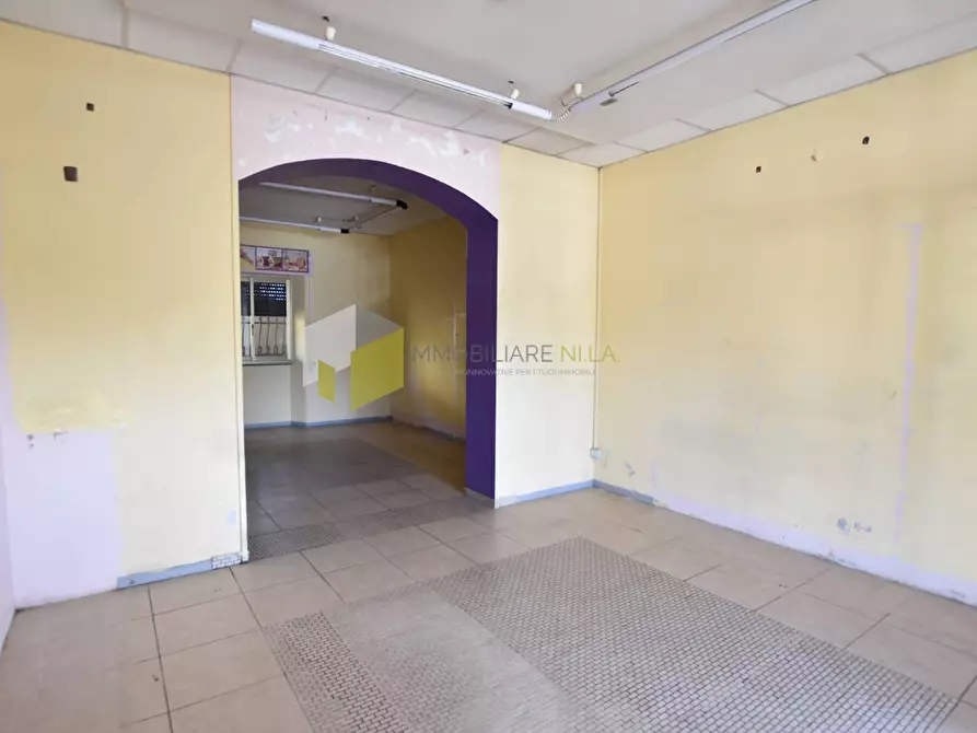 Immagine 18 di Appartamento in vendita  a Vecchiano