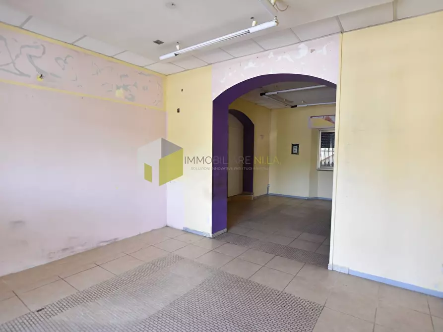 Immagine 19 di Appartamento in vendita  a Vecchiano