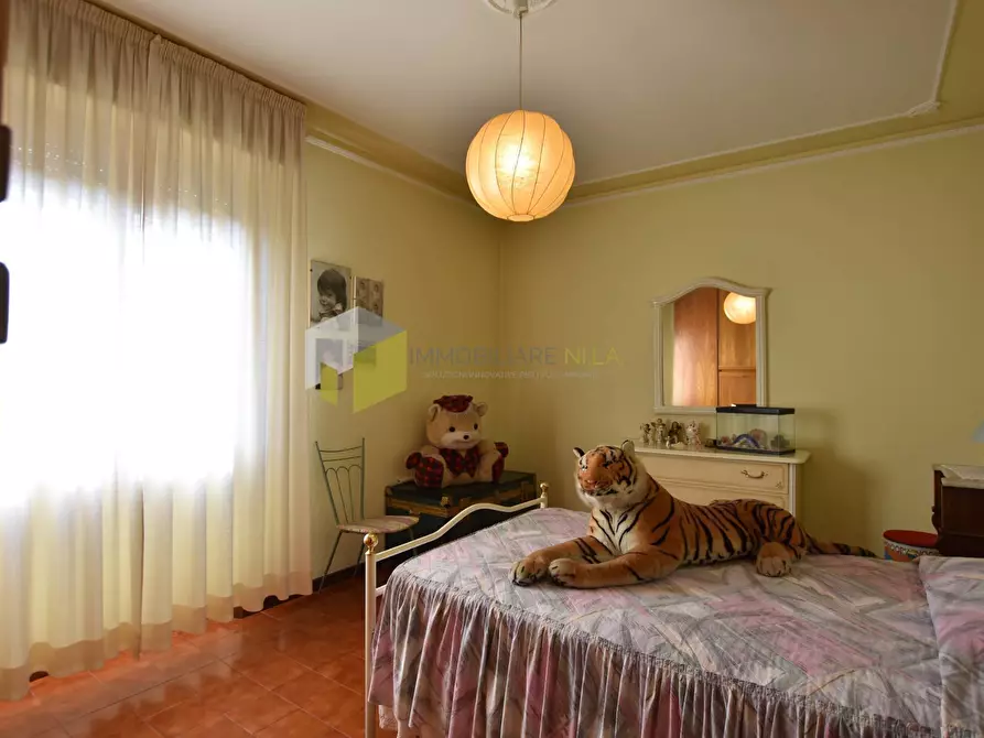 Immagine 37 di Palazzo in vendita  a Pisa