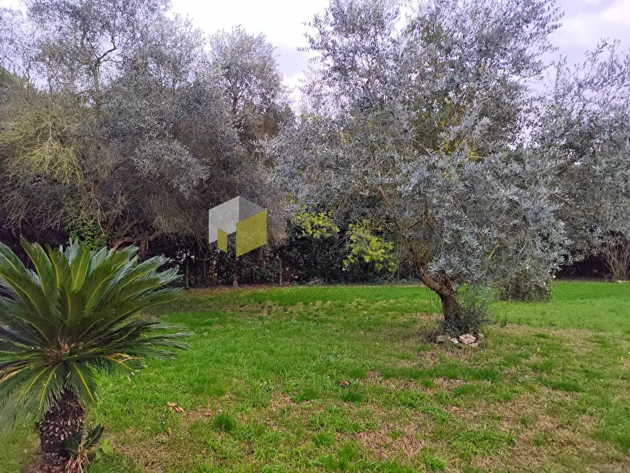 Immagine 16 di Appartamento in vendita  a San Giuliano Terme