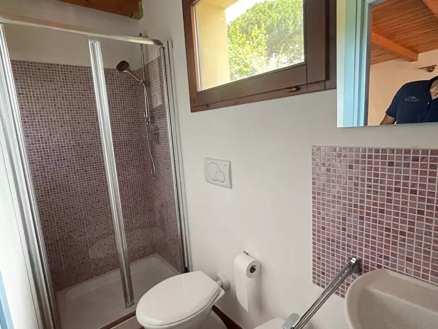 Immagine 14 di Appartamento in vendita  a Pisa