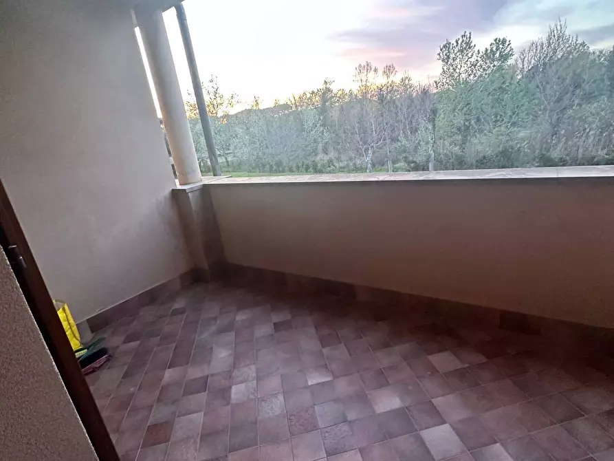 Immagine 7 di Appartamento in affitto  a Pisa