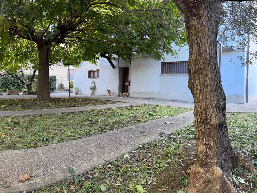 Immagine 59 di Villa in vendita  a Pisa