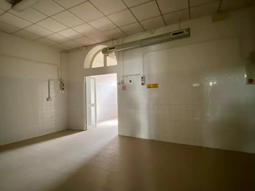 Immagine 8 di Locale commerciale in vendita  a Vecchiano