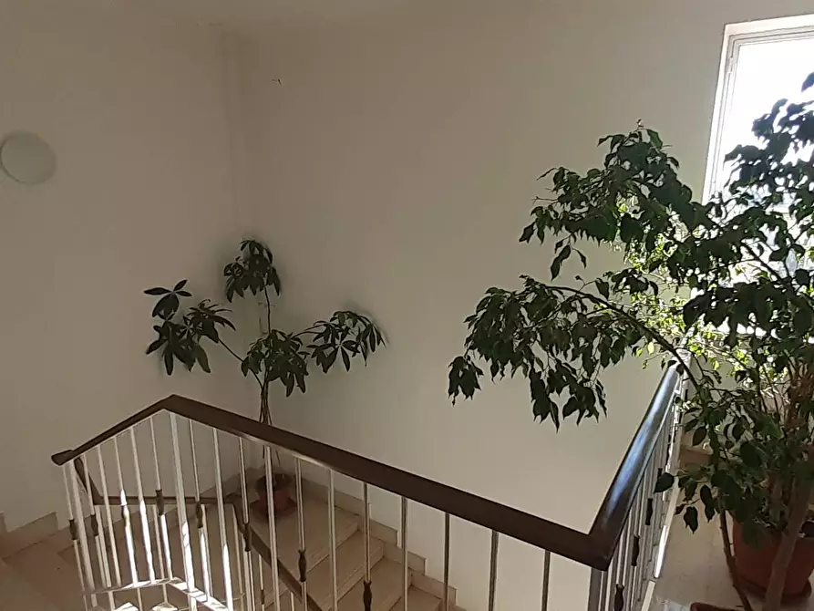 Immagine 13 di Appartamento in vendita  a Pisa