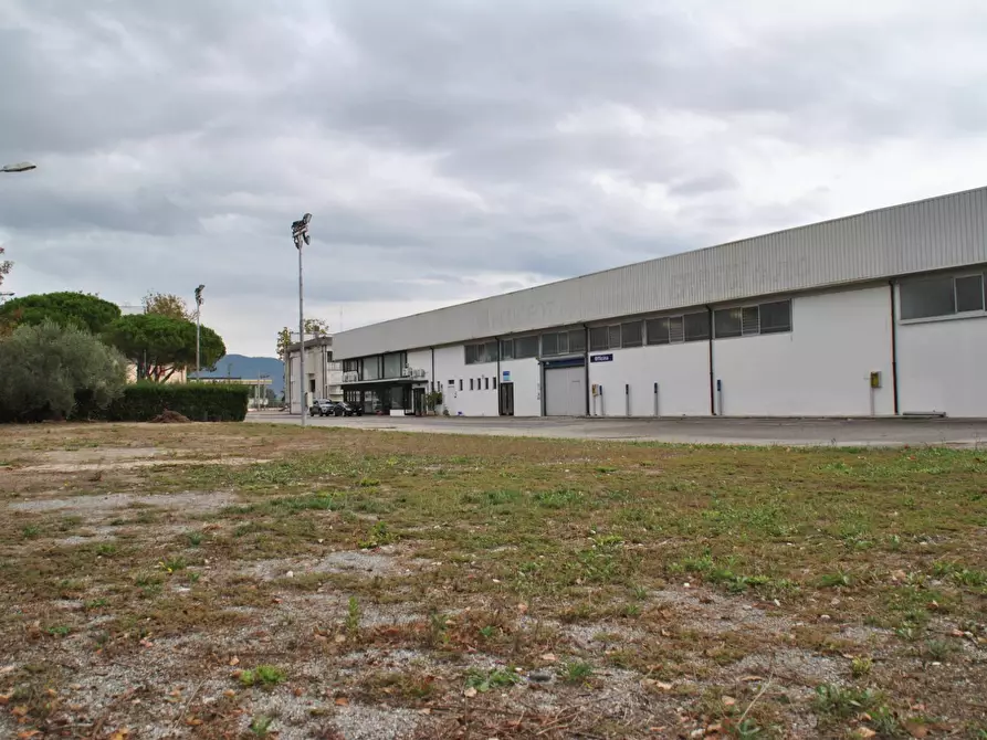 Immagine 3 di Locale commerciale in vendita  a San Giuliano Terme