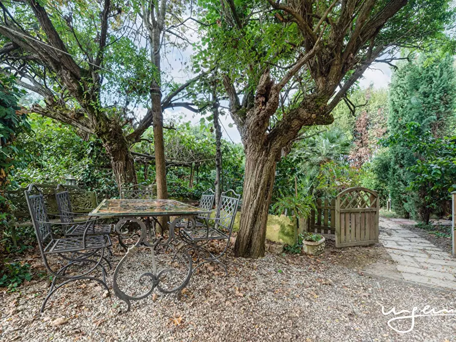 Immagine 17 di Rustico / casale in vendita  a Vecchiano